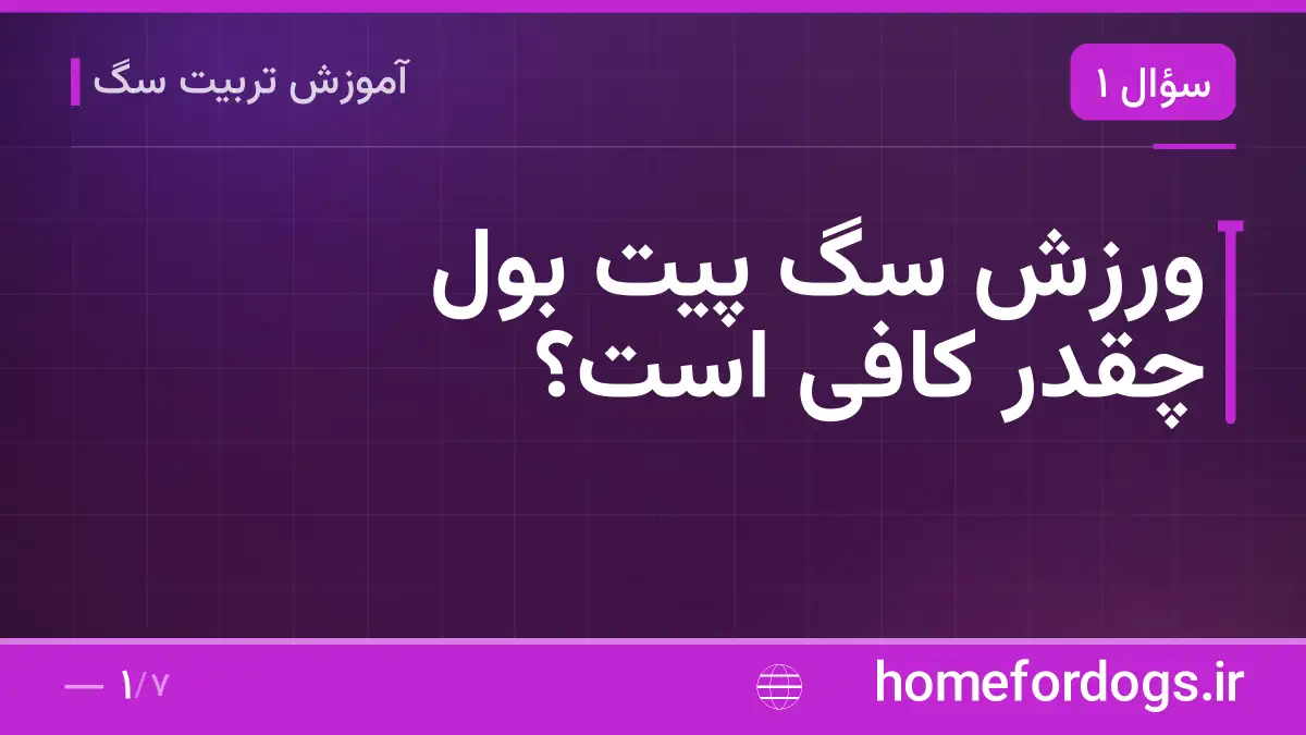 ورزش سگ پیت بول چقدر کافی است؟
