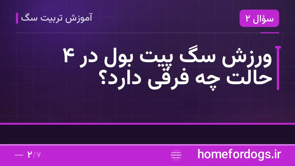 ورزش سگ پیت بول در ۴ حالت چه فرقی دارد؟