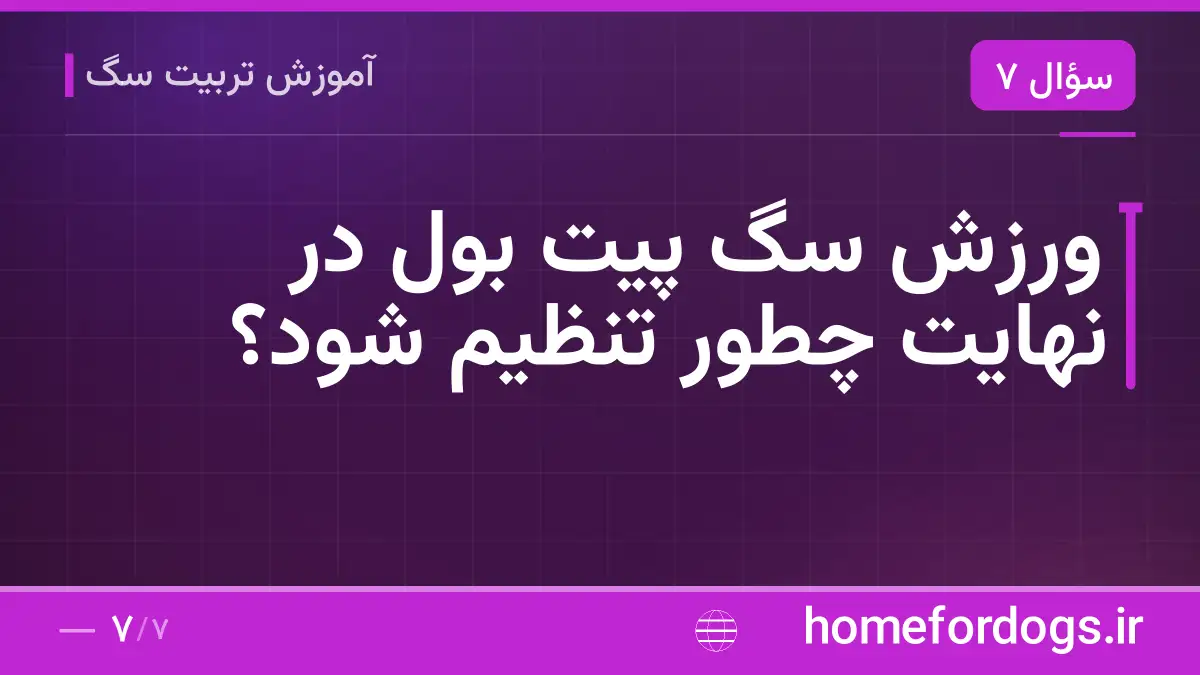 ورزش سگ پیت بول در نهایت چطور تنظیم شود؟
