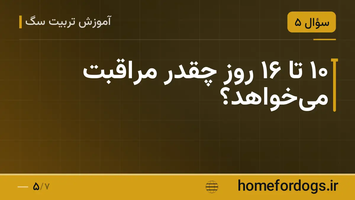 ۱۰ تا ۱۶ روز چقدر مراقبت میخواهد؟