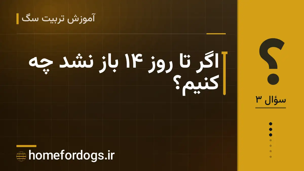 اگر تا روز ۱۴ باز نشد چه کنیم؟