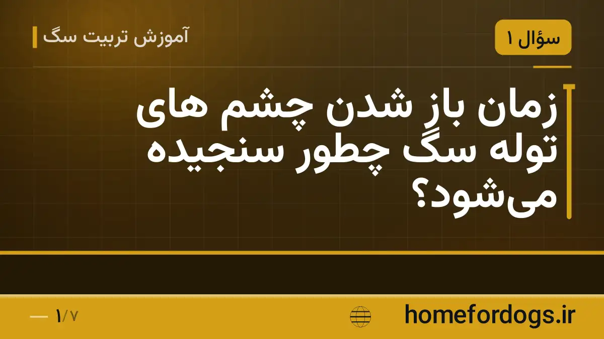 زمان باز شدن چشم های توله سگ چطور سنجیده میشود؟