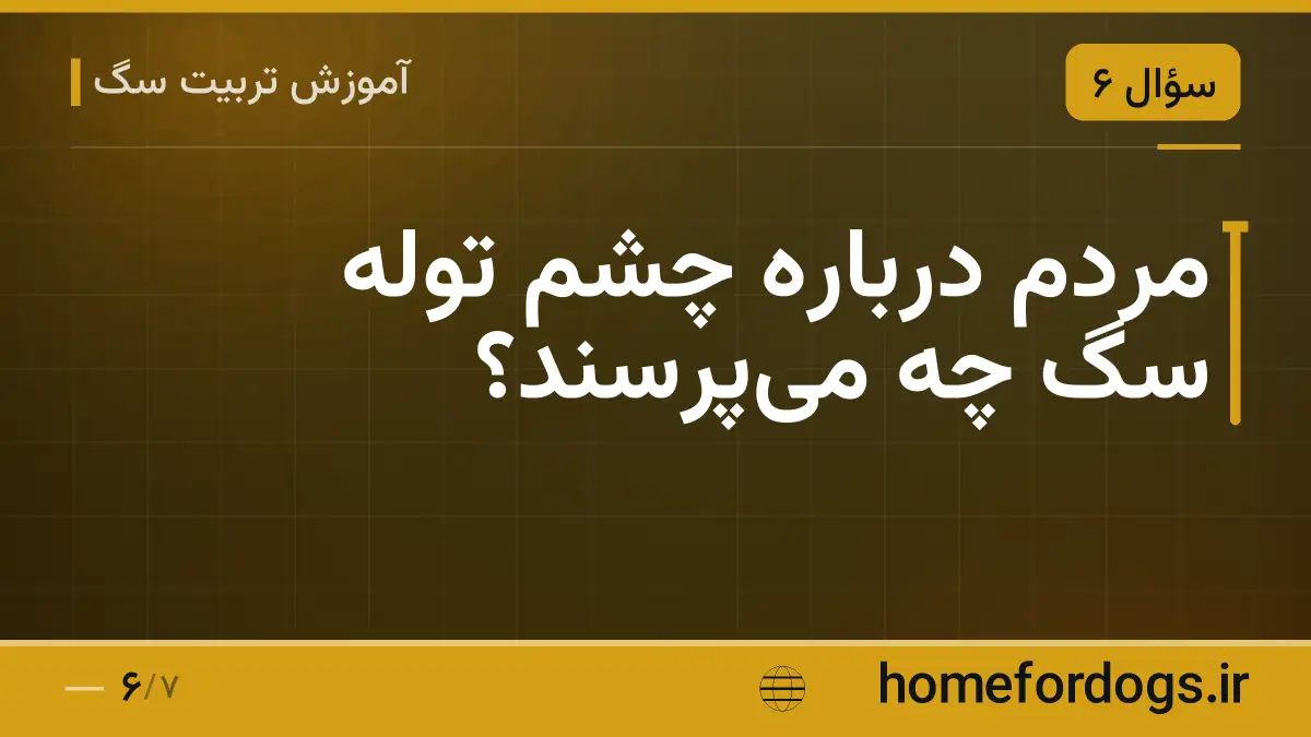 مردم درباره چشم توله سگ چه میپرسند؟