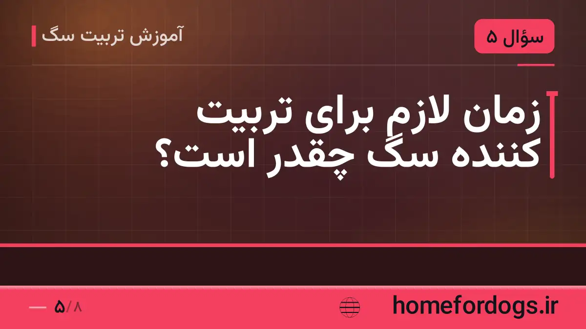 زمان لازم برای تربیت کننده سگ چقدر است؟