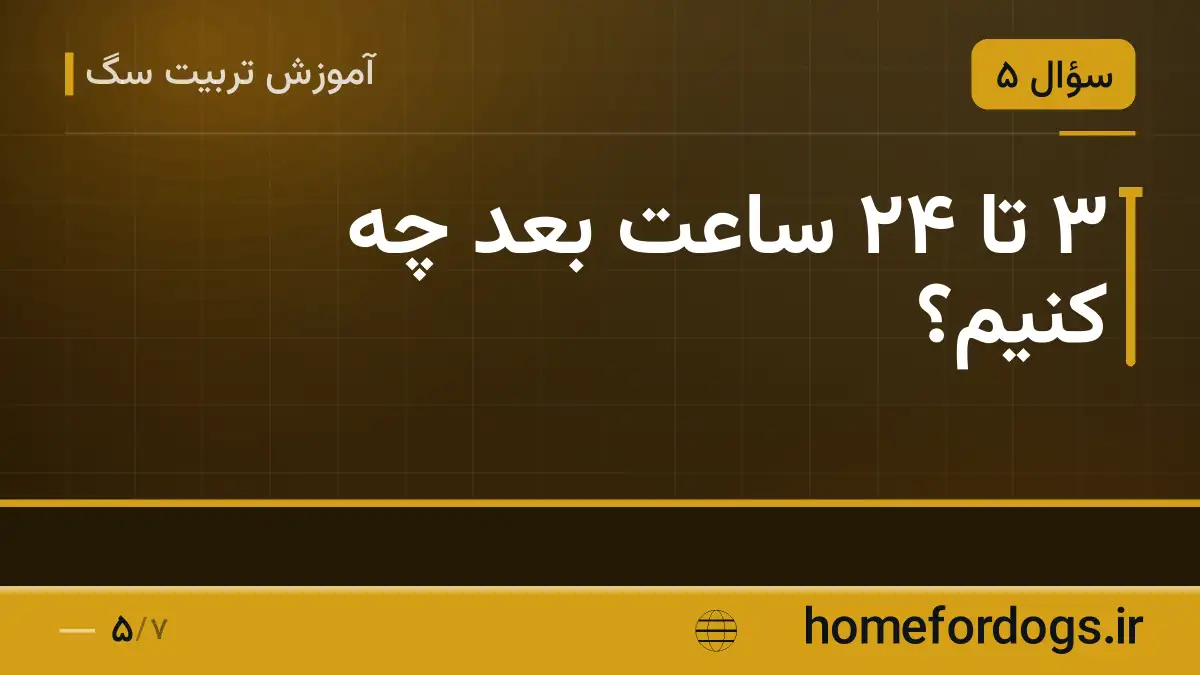 ۳ تا ۲۴ ساعت بعد چه کنیم؟