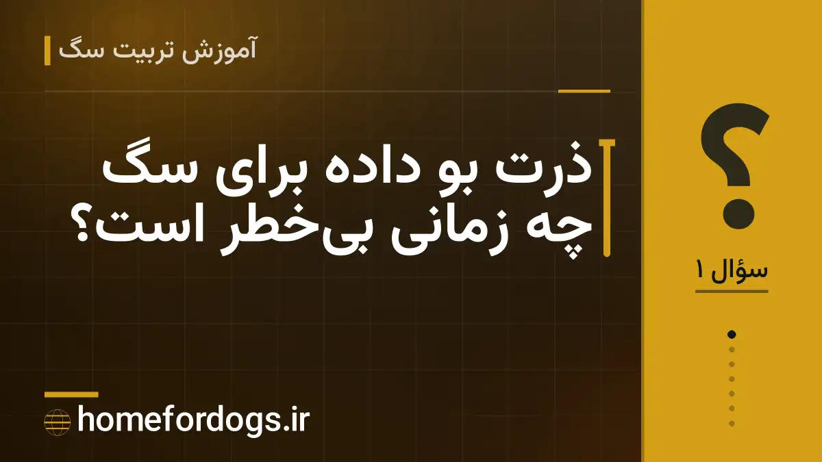 ذرت بو داده برای سگ چه زمانی بیخطر است؟