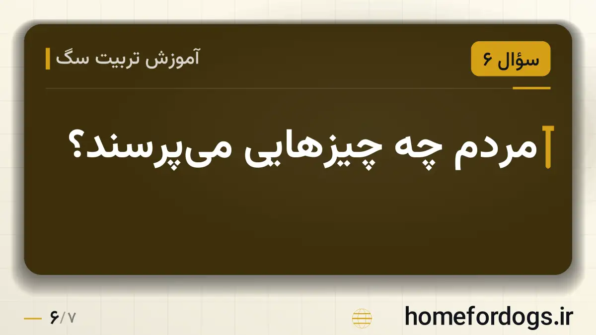 مردم چه چیزهایی میپرسند؟