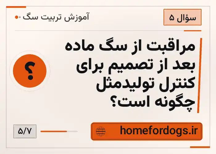 مراقبت از سگ ماده بعد از تصمیم برای کنترل تولیدمثل چگونه است؟