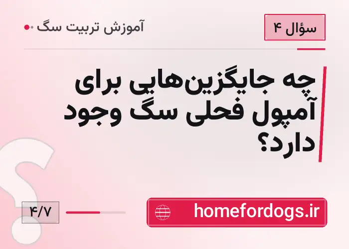 چه جایگزین‌هایی برای آمپول فحلی سگ وجود دارد؟