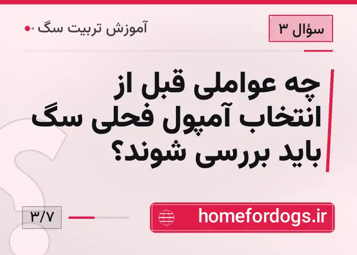 چه عواملی قبل از انتخاب آمپول فحلی سگ باید بررسی شوند؟