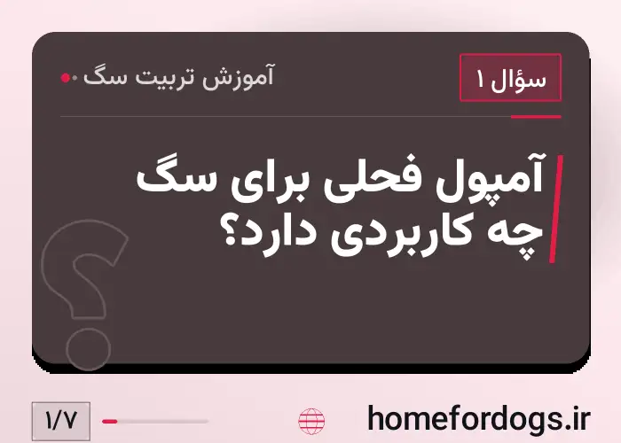 آمپول فحلی برای سگ چه کاربردی دارد؟