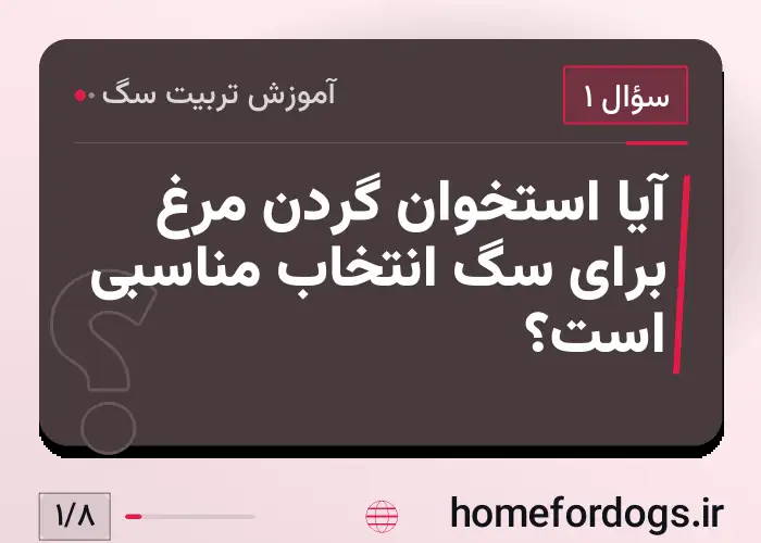 آیا استخوان گردن مرغ برای سگ انتخاب مناسبی است؟