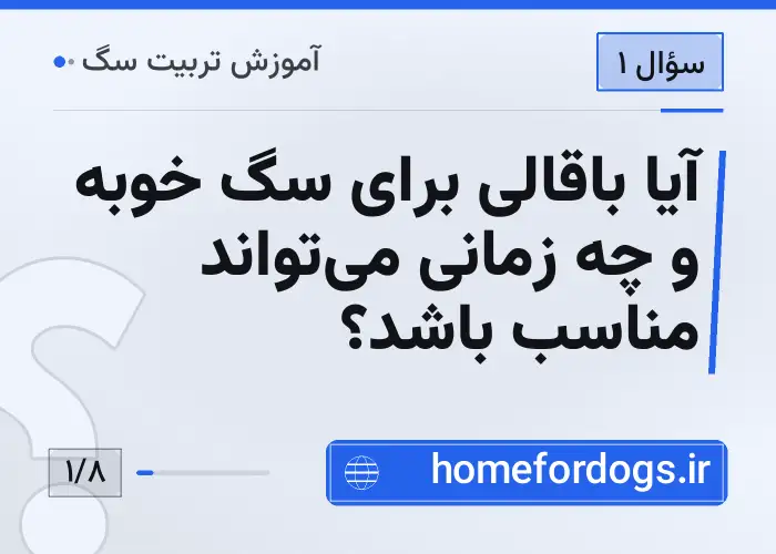 آیا باقالی برای سگ خوبه و چه زمانی می‌تواند مناسب باشد؟