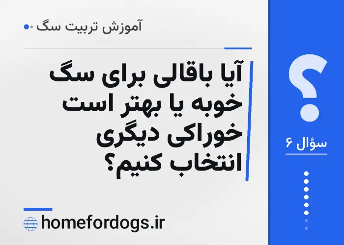 آیا باقالی برای سگ خوبه یا بهتر است خوراکی دیگری انتخاب کنیم؟