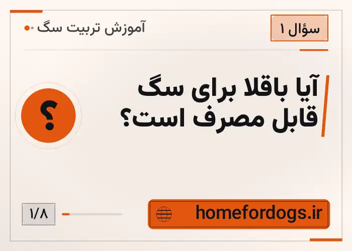 آیا باقلا برای سگ قابل مصرف است؟