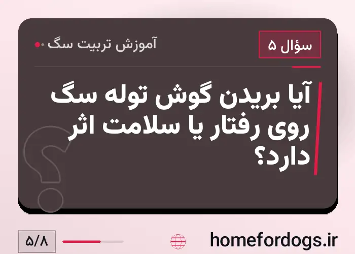 آیا بریدن گوش توله سگ روی رفتار یا سلامت اثر دارد؟