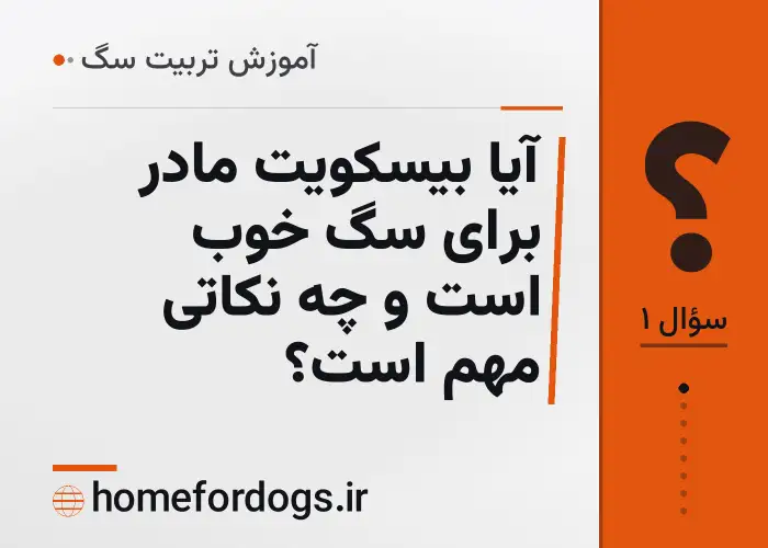 آیا بیسکویت مادر برای سگ خوب است و چه نکاتی مهم است؟