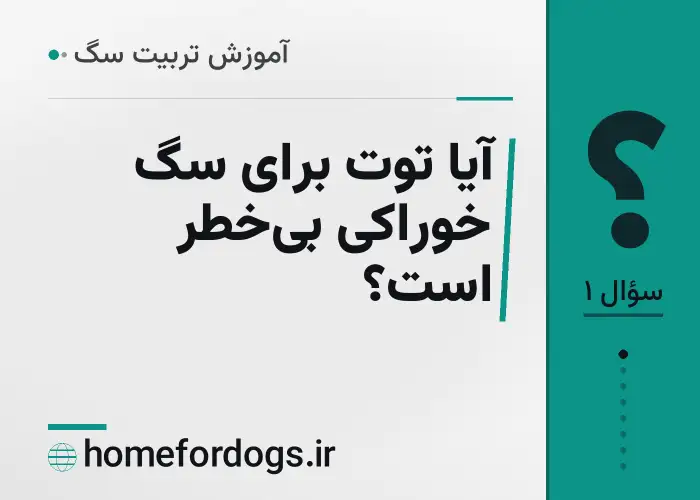 آیا توت برای سگ خوراکی بی‌خطر است؟