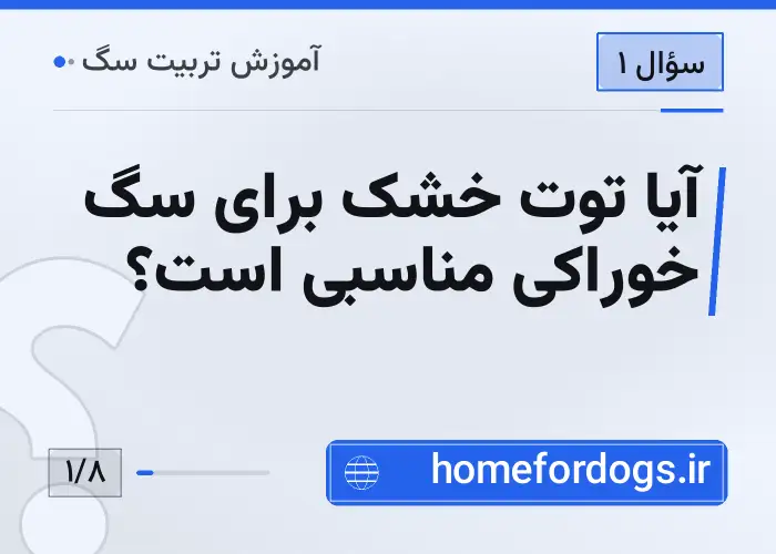 آیا توت خشک برای سگ خوراکی مناسبی است؟