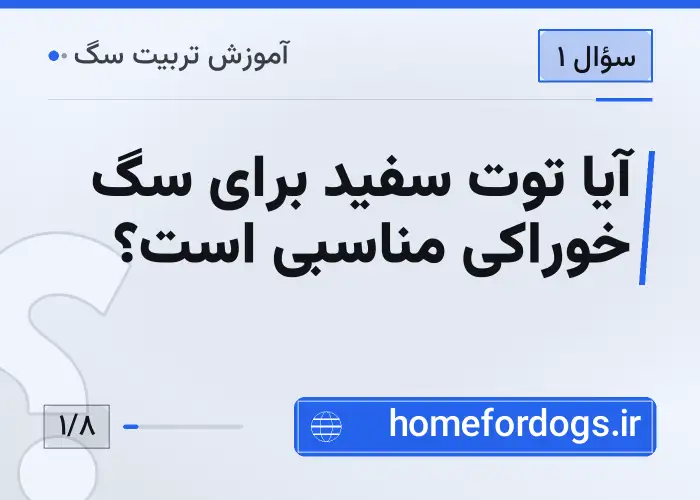 آیا توت سفید برای سگ خوراکی مناسبی است؟