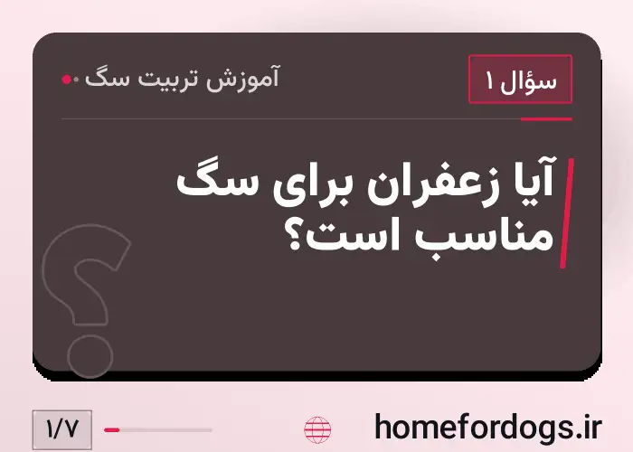 آیا زعفران برای سگ مناسب است؟