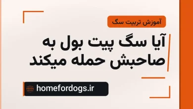 آیا سگ پیت بول به صاحبش حمله میکند