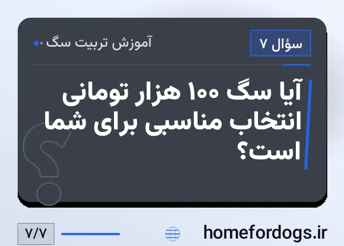 آیا سگ ۱۰۰ هزار تومانی انتخاب مناسبی برای شما است؟