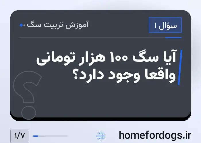 آیا سگ ۱۰۰ هزار تومانی واقعاً وجود دارد؟