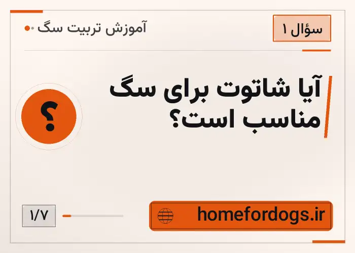 آیا شاتوت برای سگ مناسب است؟