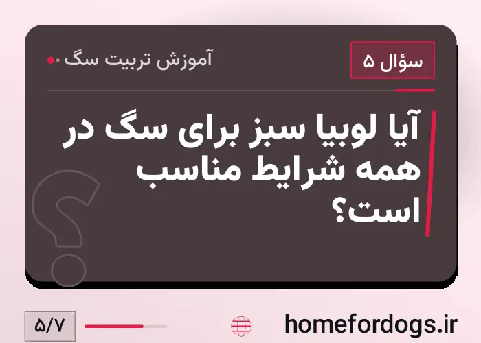آیا لوبیا سبز برای سگ در همه شرایط مناسب است؟