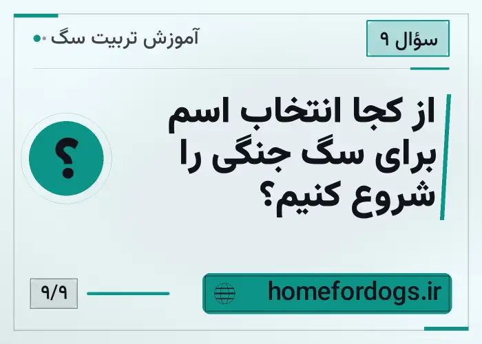 از کجا انتخاب اسم برای سگ جنگی را شروع کنیم؟