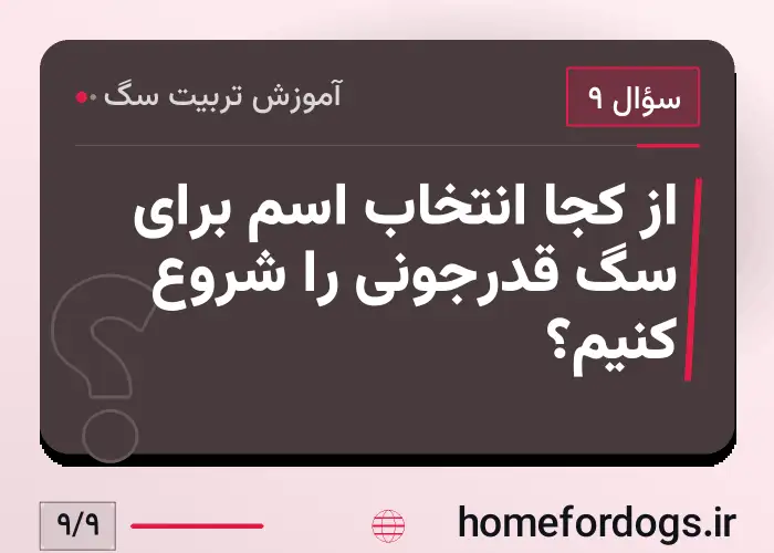 از کجا انتخاب اسم برای سگ قدرجونی را شروع کنیم؟