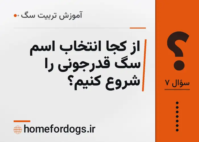 از کجا انتخاب اسم سگ قدرجونی را شروع کنیم؟