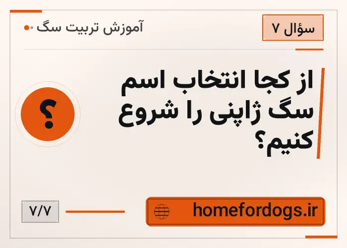 از کجا انتخاب اسم سگ ژاپنی را شروع کنیم؟