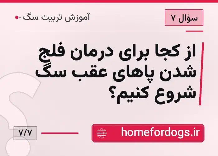 از کجا برای درمان فلج شدن پاهای عقب سگ شروع کنیم؟