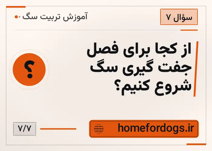 از کجا برای فصل جفت گیری سگ شروع کنیم؟