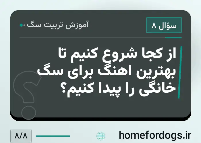 از کجا شروع کنیم تا بهترین اهنگ برای سگ خانگی را پیدا کنیم؟