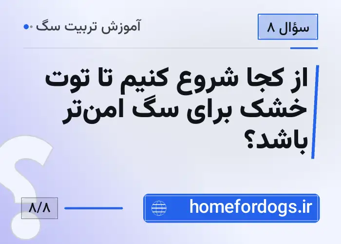 از کجا شروع کنیم تا توت خشک برای سگ امن‌تر باشد؟