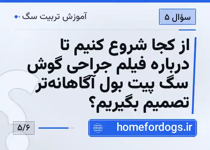 از کجا شروع کنیم تا درباره فیلم جراحی گوش سگ پیت بول آگاهانه‌تر تصمیم بگیریم؟