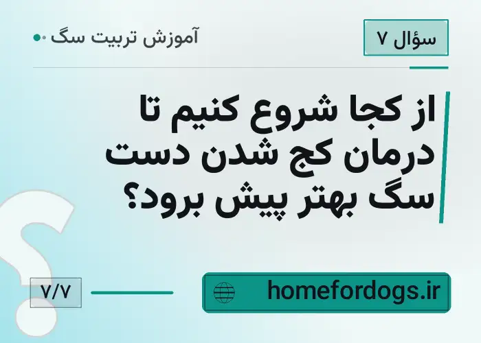 از کجا شروع کنیم تا درمان کج شدن دست سگ بهتر پیش برود؟