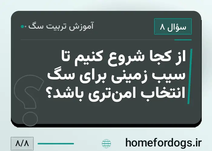 از کجا شروع کنیم تا سیب زمینی برای سگ انتخاب امن‌تری باشد؟