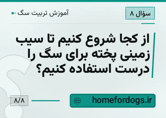 از کجا شروع کنیم تا سیب زمینی پخته برای سگ را درست استفاده کنیم؟