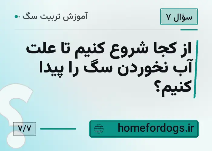 از کجا شروع کنیم تا علت آب نخوردن سگ را پیدا کنیم؟