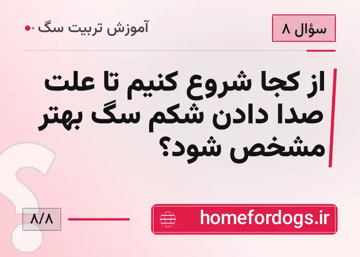 از کجا شروع کنیم تا علت صدا دادن شکم سگ بهتر مشخص شود؟