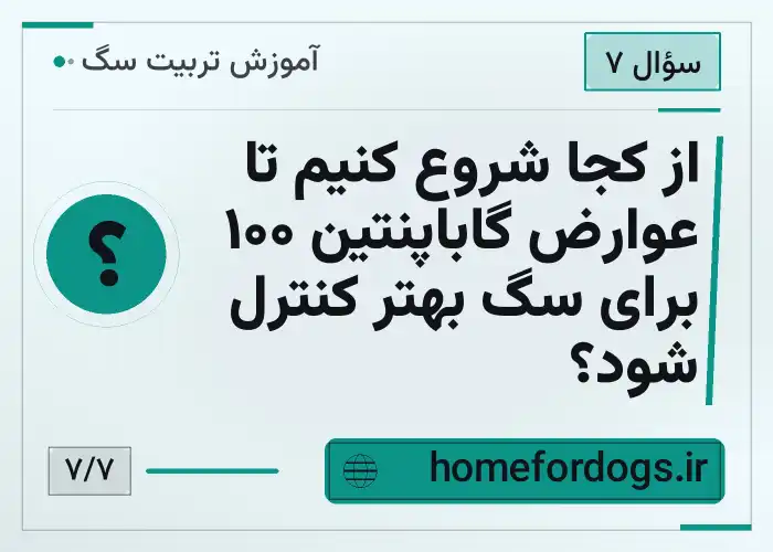 از کجا شروع کنیم تا عوارض گاباپنتین ۱۰۰ برای سگ بهتر کنترل شود؟