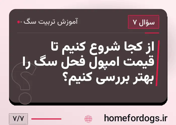 از کجا شروع کنیم تا قیمت امپول فحل سگ را بهتر بررسی کنیم؟