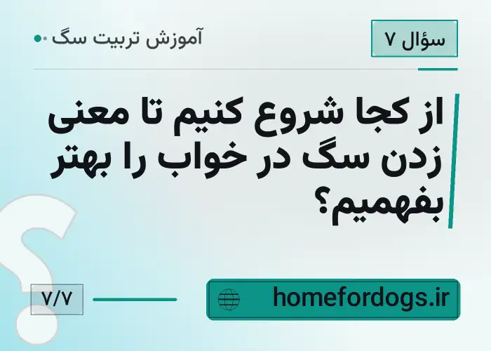 از کجا شروع کنیم تا معنی زدن سگ در خواب را بهتر بفهمیم؟