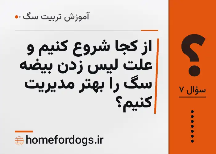 از کجا شروع کنیم و علت لیس زدن بیضه سگ را بهتر مدیریت کنیم؟