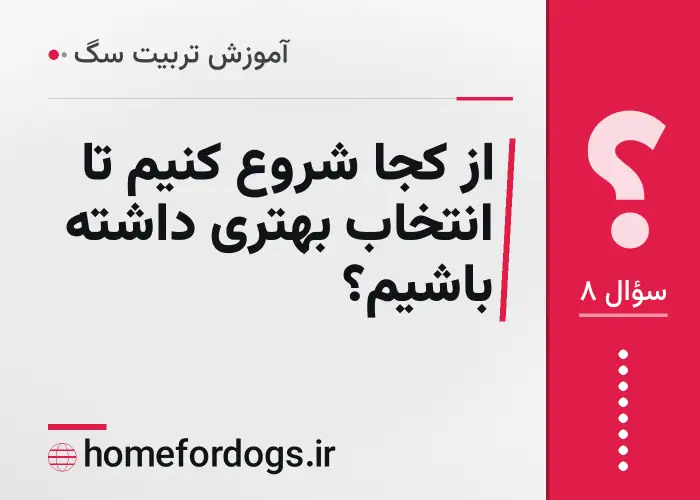 از کجا شروع کنیم تا انتخاب بهتری داشته باشیم؟