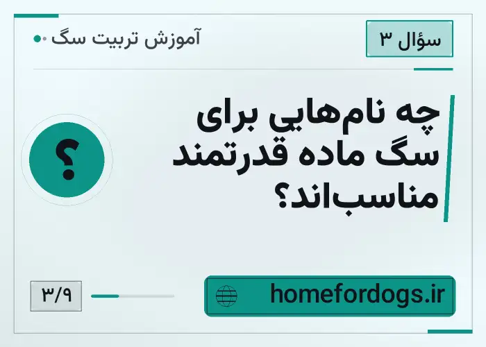 چه نام‌هایی برای سگ ماده قدرتمند مناسب‌اند؟